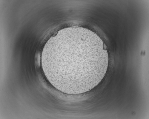 X0000113930022200911061229