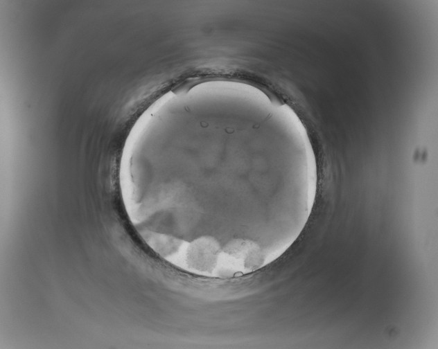 X0000113930023200911061229