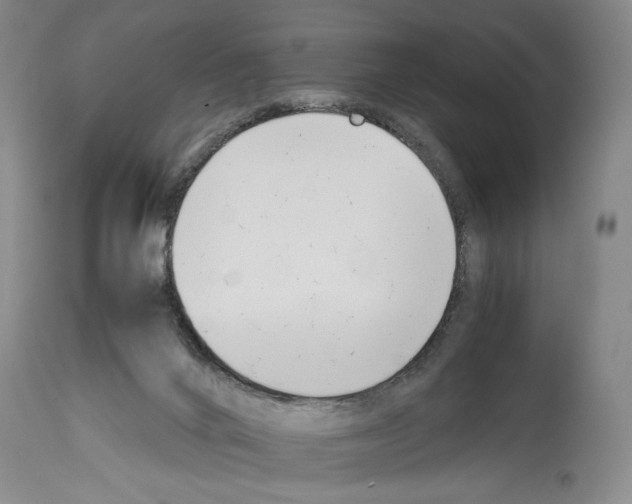 X0000113930024200911061229