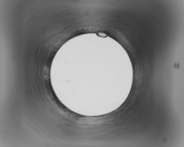 X0000113930025200911061229
