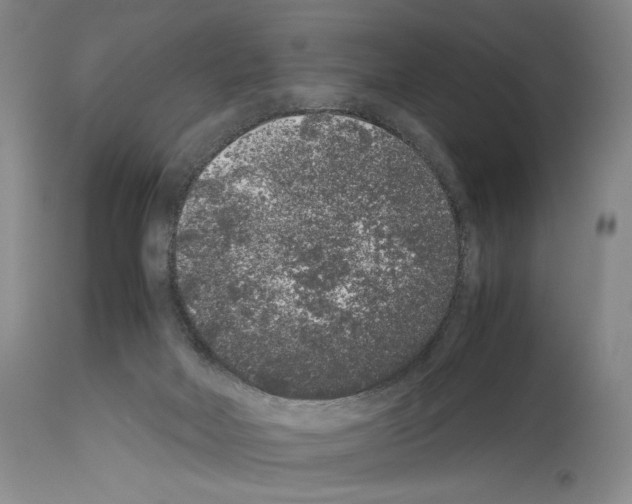 X0000113930026200911061229