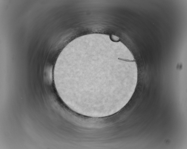 X0000113930028200911061229