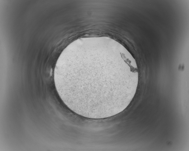 X0000113930029200911061229
