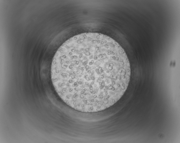 X0000113930030200911061229