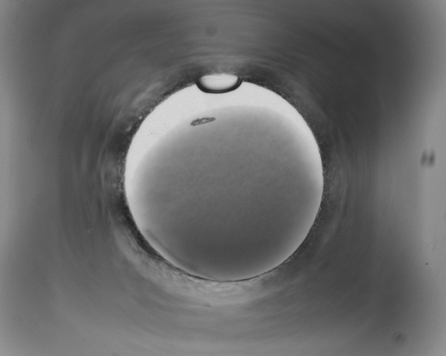 X0000113930031200911061229
