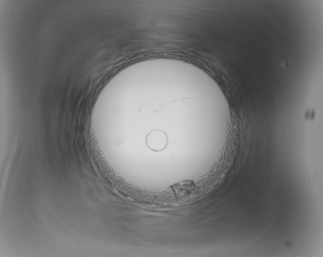 X0000113930033200911061229