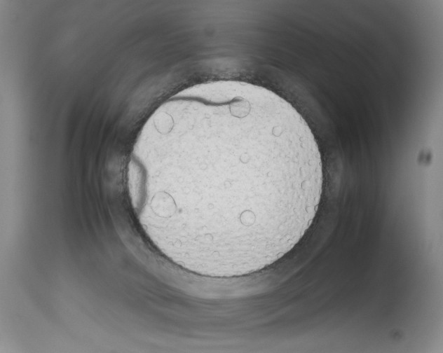 X0000113930034200911061229