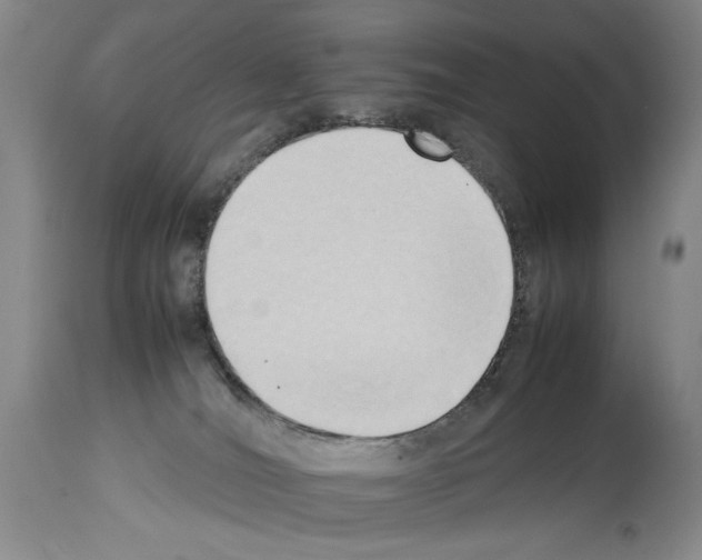 X0000113930036200911061229