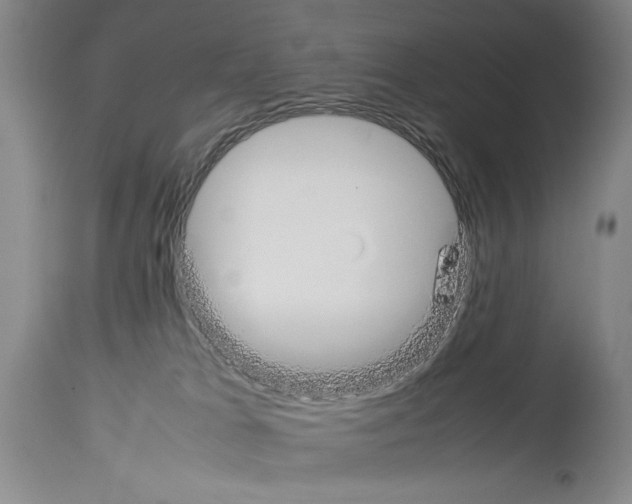 X0000113930037200911061229