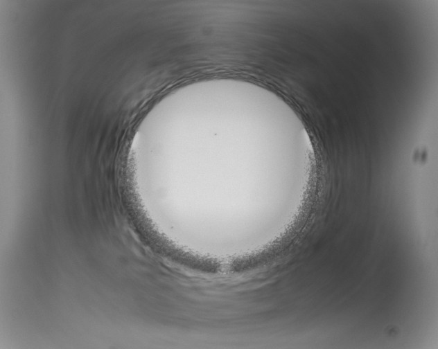 X0000113930039200911061229