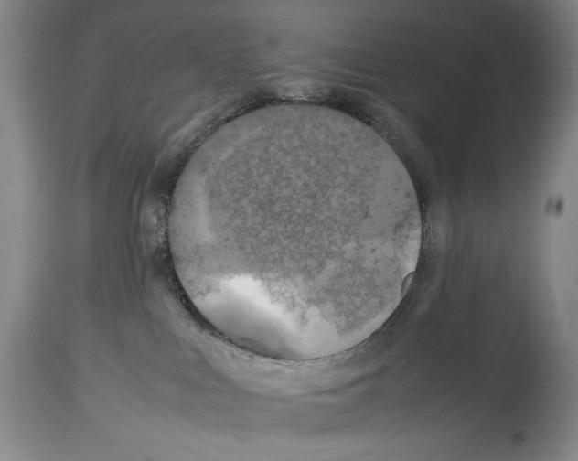 X0000113930043200911061229