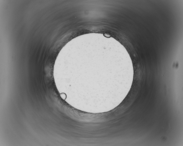 X0000113930044200911061229