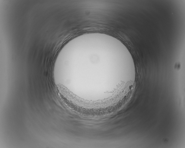 X0000113930045200911061229