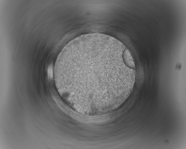 X0000113930046200911061229