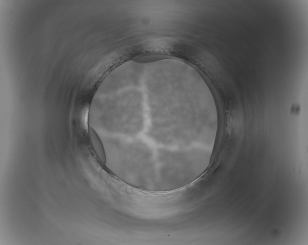 X0000113930047200911061229
