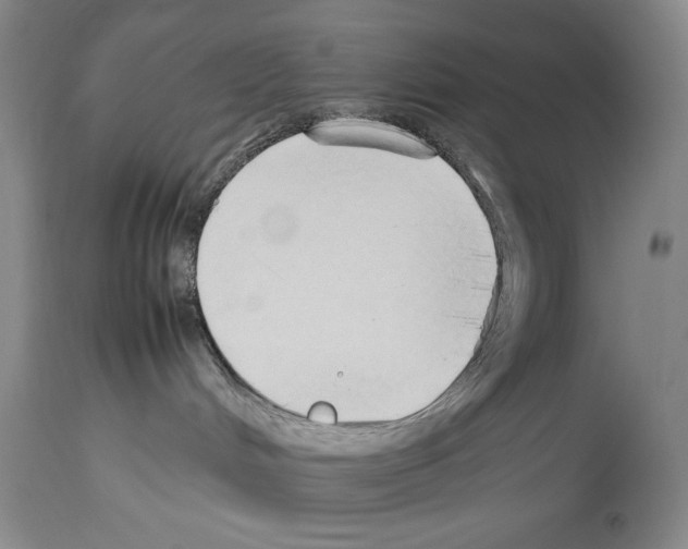 X0000113930048200911061229