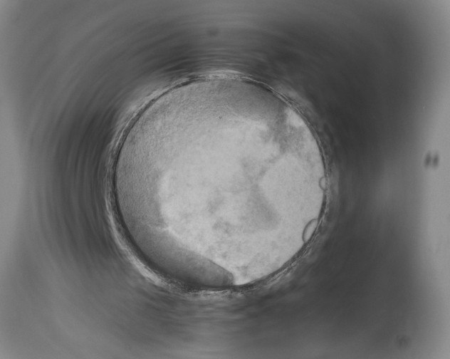X0000113930049200911061228