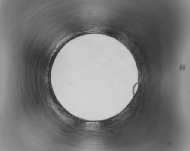 X0000113930050200911061228