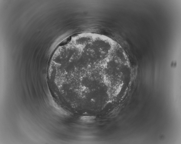 X0000113930051200911061228