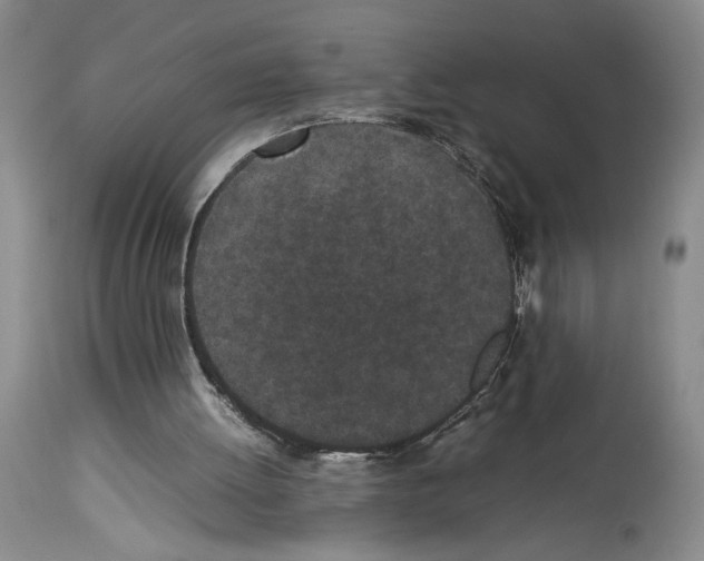 X0000113930052200911061228