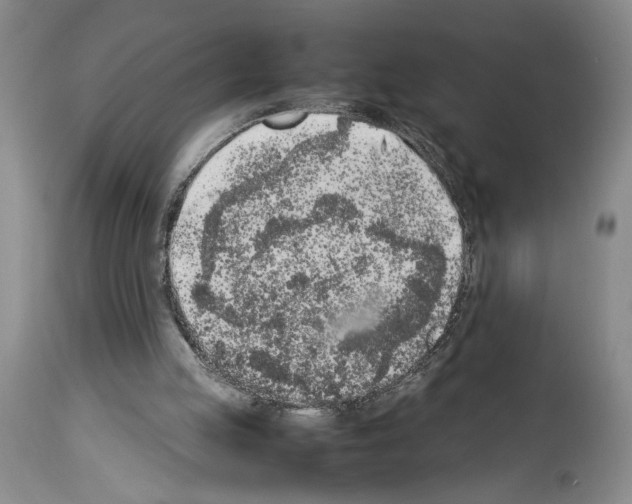 X0000113930053200911061228