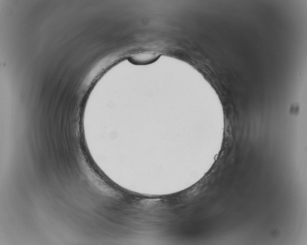 X0000113930054200911061228