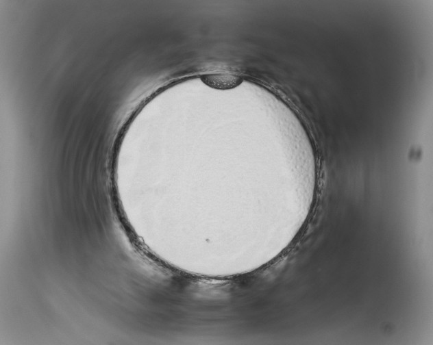 X0000113930055200911061228
