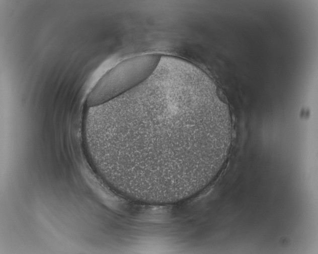 X0000113930056200911061228