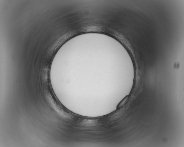 X0000113930057200911061228