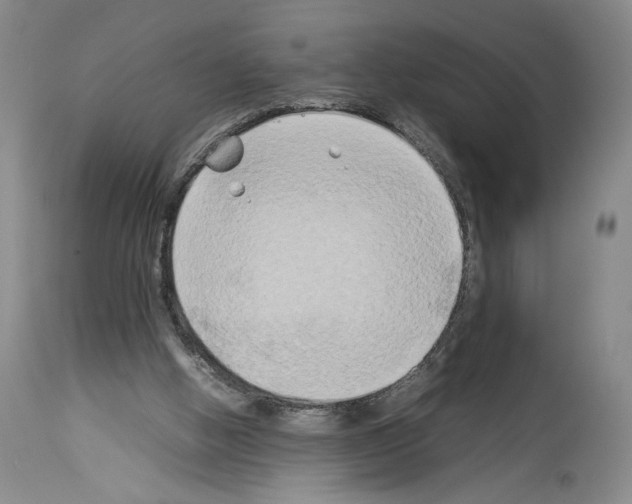 X0000113930058200911061228