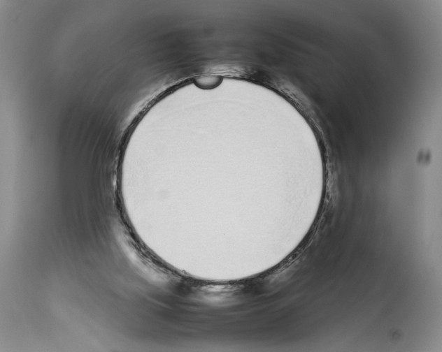 X0000113930059200911061228