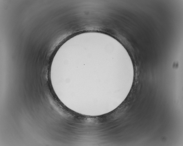 X0000113930060200911061228