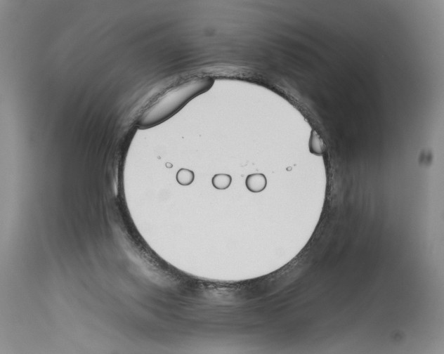X0000113930062200911061228