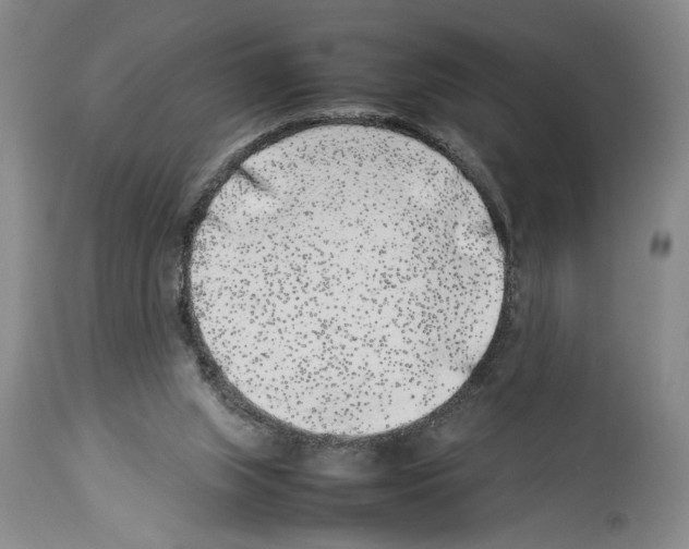 X0000113930063200911061228