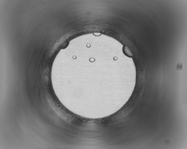 X0000113930064200911061228