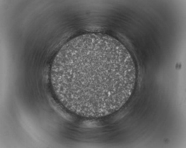 X0000113930065200911061228