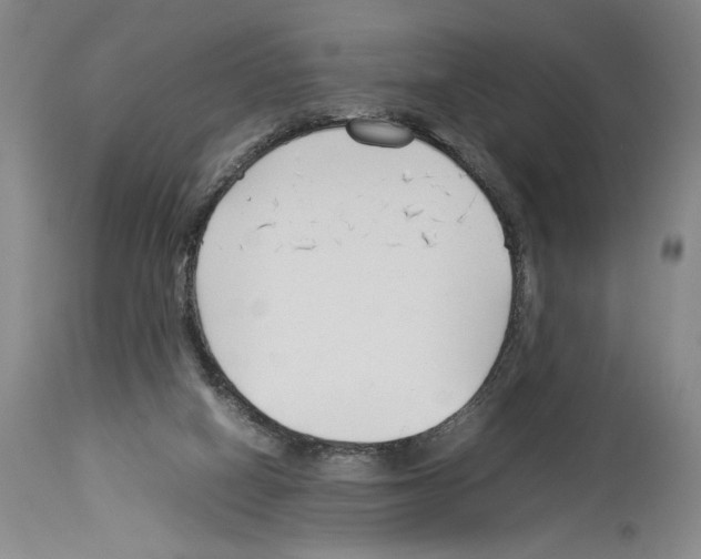 X0000113930066200911061228