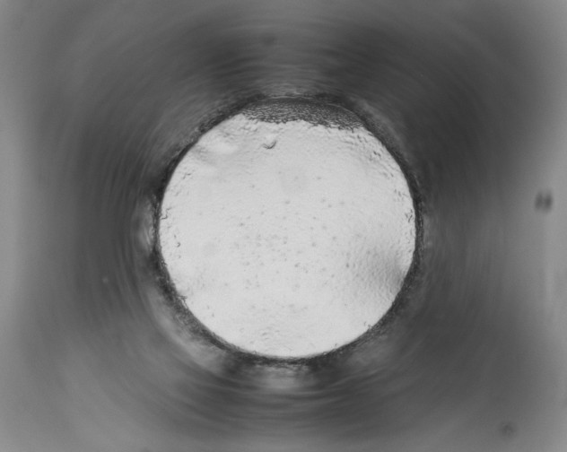 X0000113930069200911061228