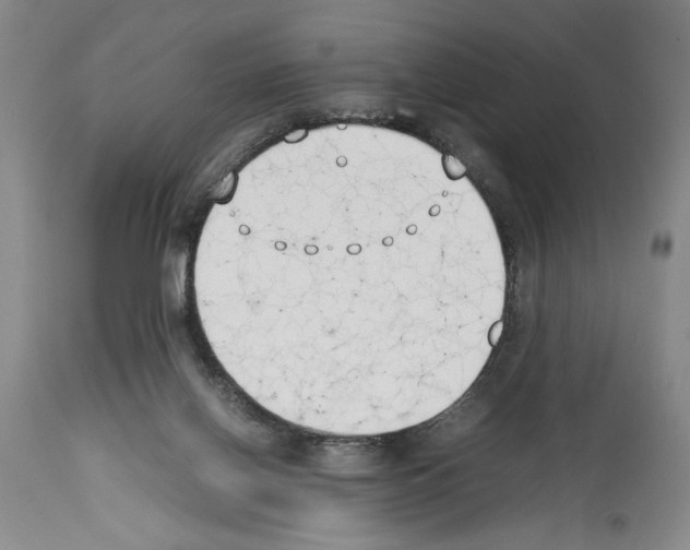X0000113930070200911061228