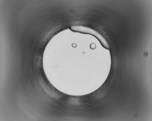 X0000113930071200911061228