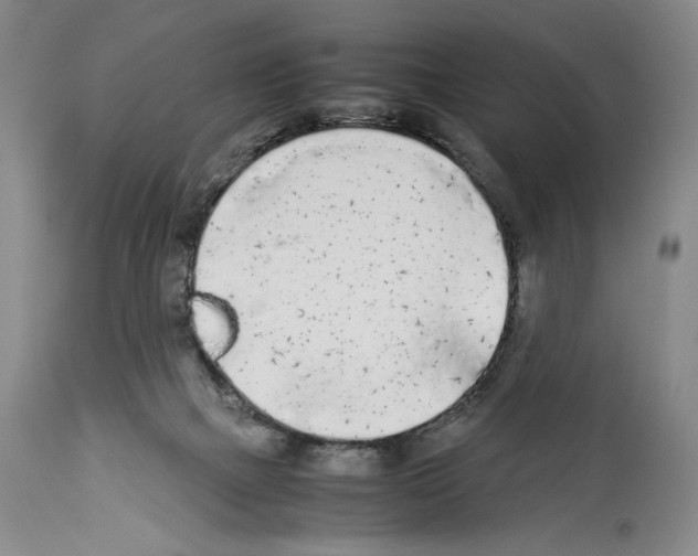 X0000113930073200911061228