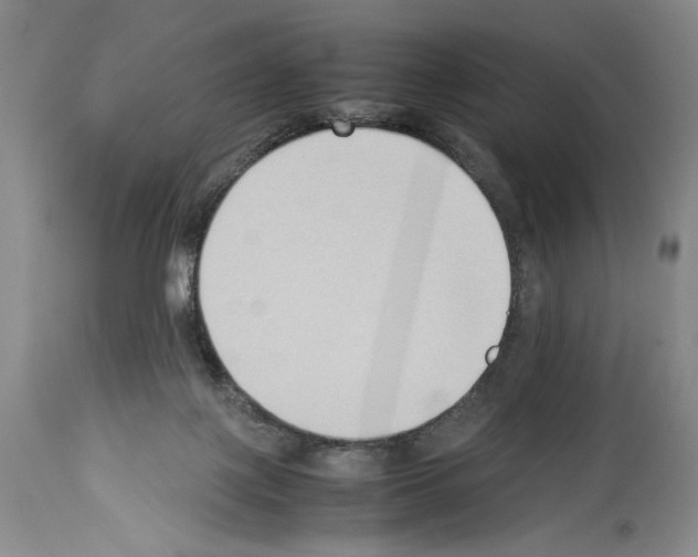X0000113930075200911061228