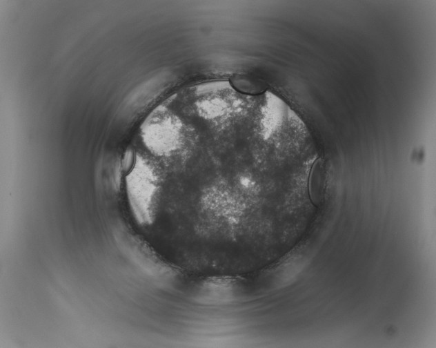 X0000113930076200911061228