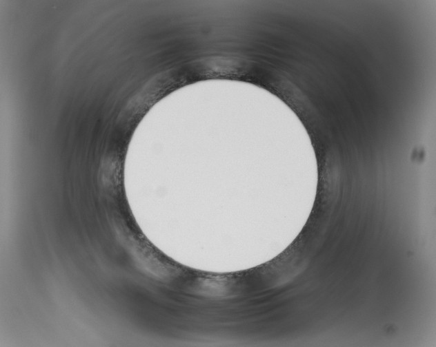 X0000113930079200911061228