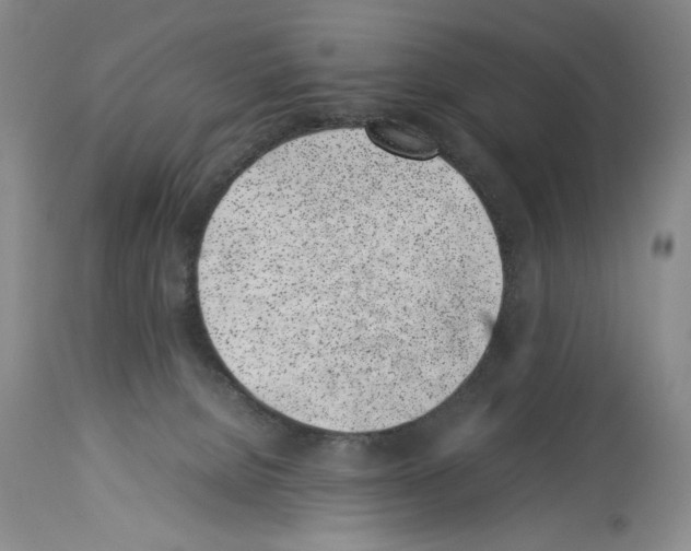 X0000113930080200911061228
