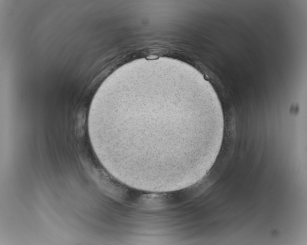 X0000113930082200911061228