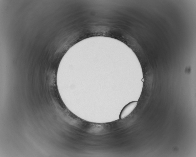 X0000113930083200911061228