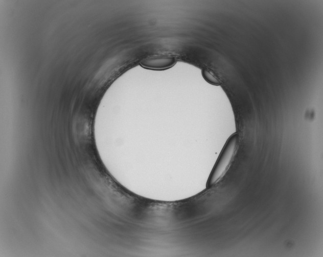 X0000113930084200911061228