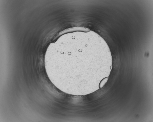 X0000113930085200911061228