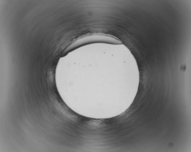 X0000113930086200911061228